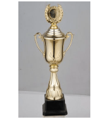 Trophy HB4223-B